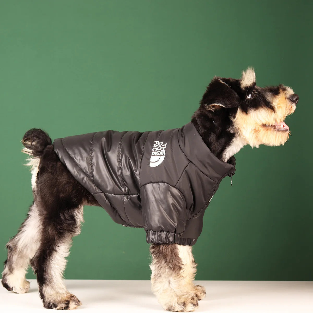 Reflective Dog Jacket