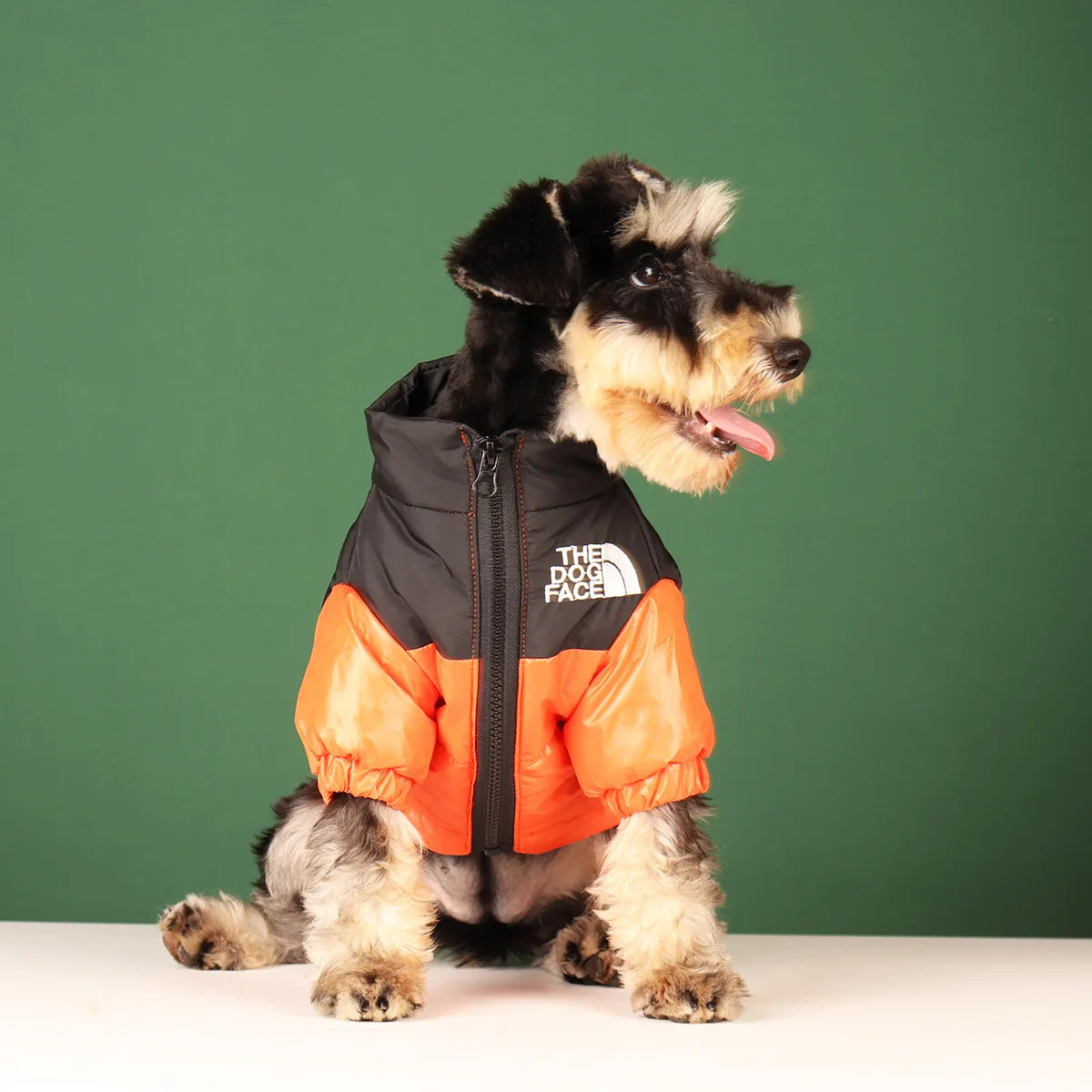 Reflective Dog Jacket