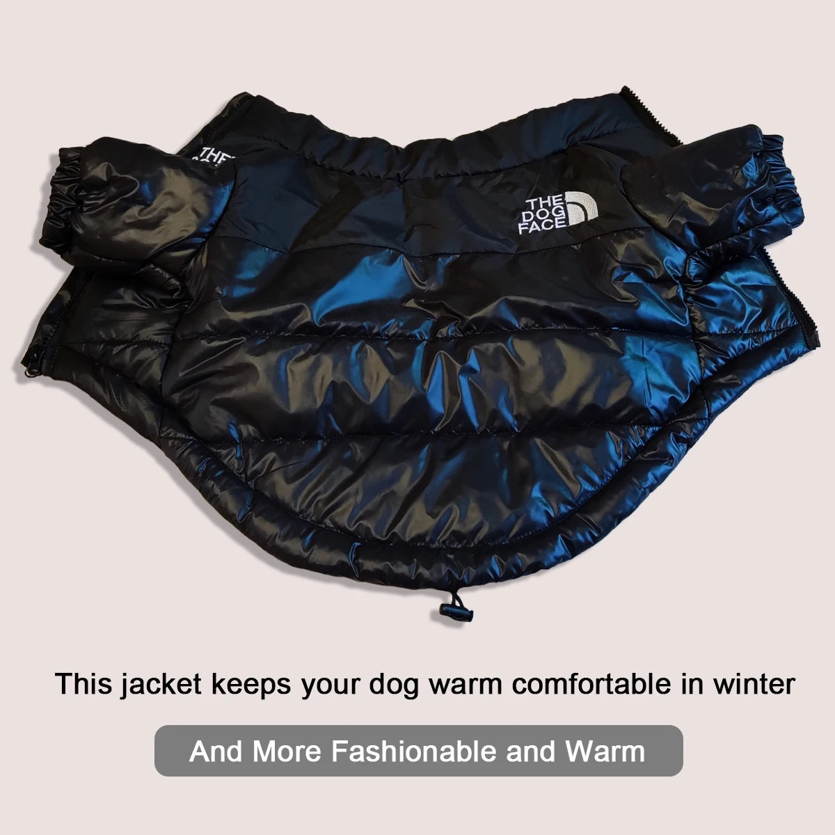 Reflective Dog Jacket